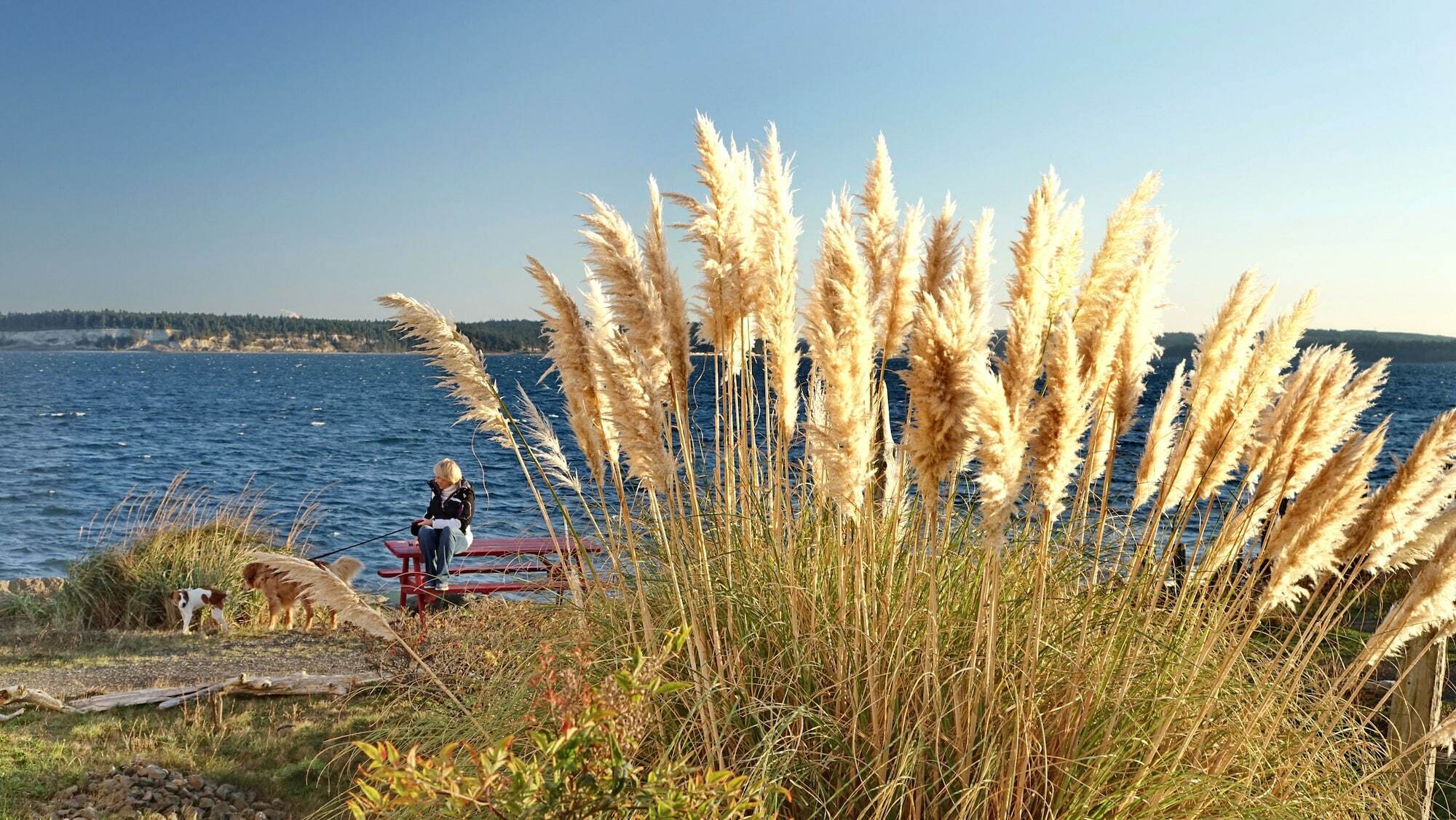Tides Inn & Suites Port Townsend Exteriör bild